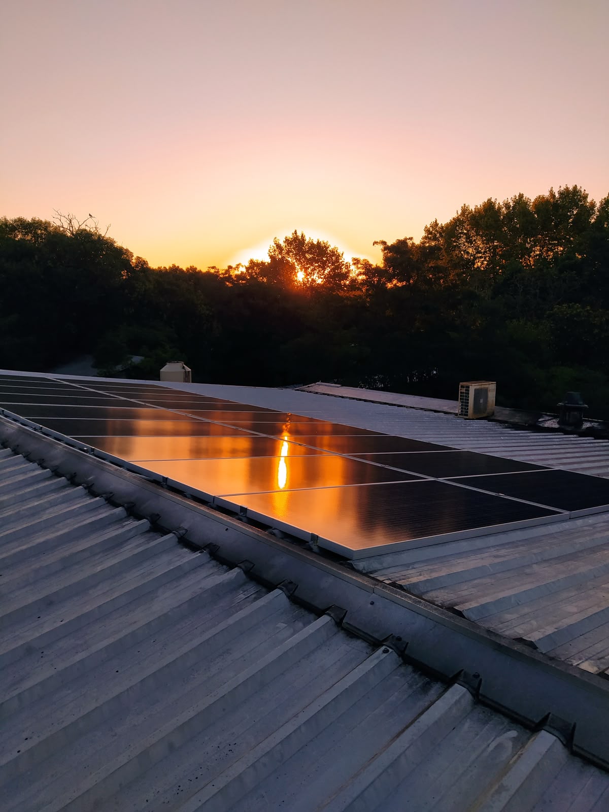 Paneles solares reflejando el atardecer en una instalación real de Proyecto Solaris